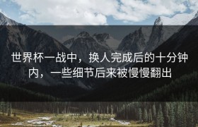 世界杯一战中，换人完成后的十分钟内，一些细节后来被慢慢翻出