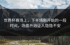 世界杯赛场上，下半场刚开始的一段时间，场面开始让人隐隐不安