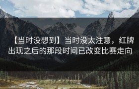 【当时没想到】当时没太注意，红牌出现之后的那段时间已改变比赛走向