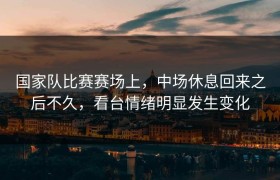 国家队比赛赛场上，中场休息回来之后不久，看台情绪明显发生变化