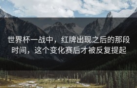 世界杯一战中，红牌出现之后的那段时间，这个变化赛后才被反复提起